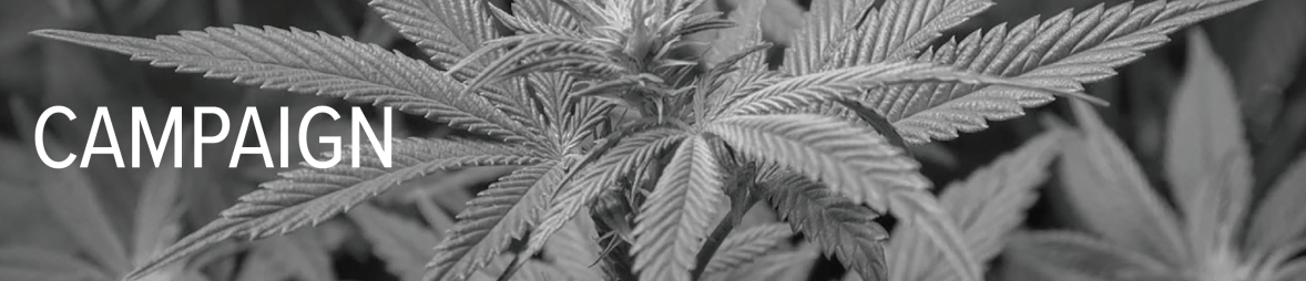 Screen Shot 2018-08-04 at 11.07.51 PM